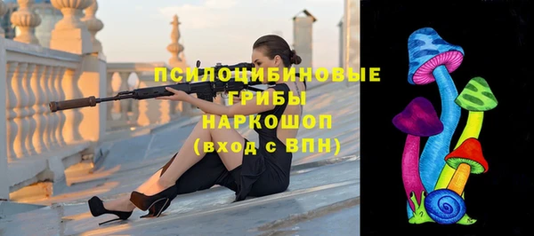 соль ск Алексин