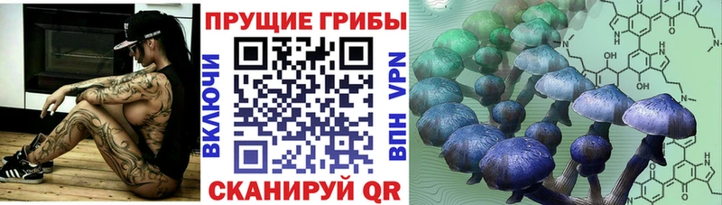 Псилоцибиновые грибы MAGIC MUSHROOMS  Домодедово 